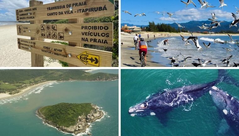 Fotografias de sinalização, praias e baleias no roteiro Caminhos da Baleia Franca
