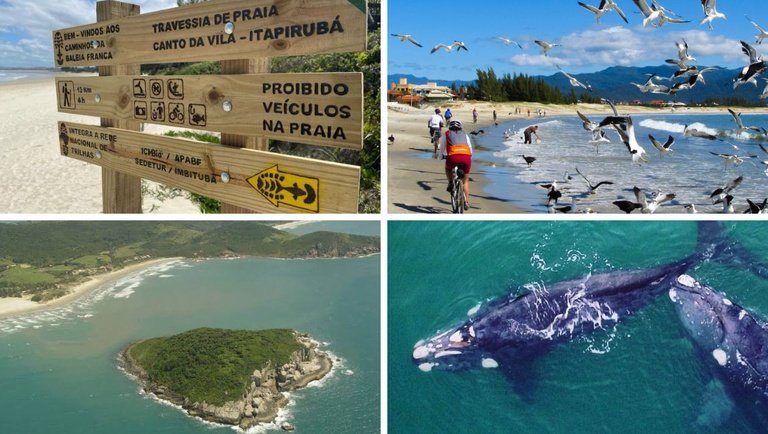 Caminhos da Baleia Franca conecta 172 quilômetros do litoral catarinense
