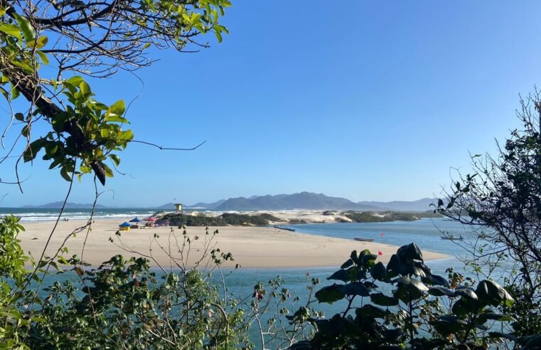 Balneabilidade em SC: 194 de 260 pontos estão próprios para banho