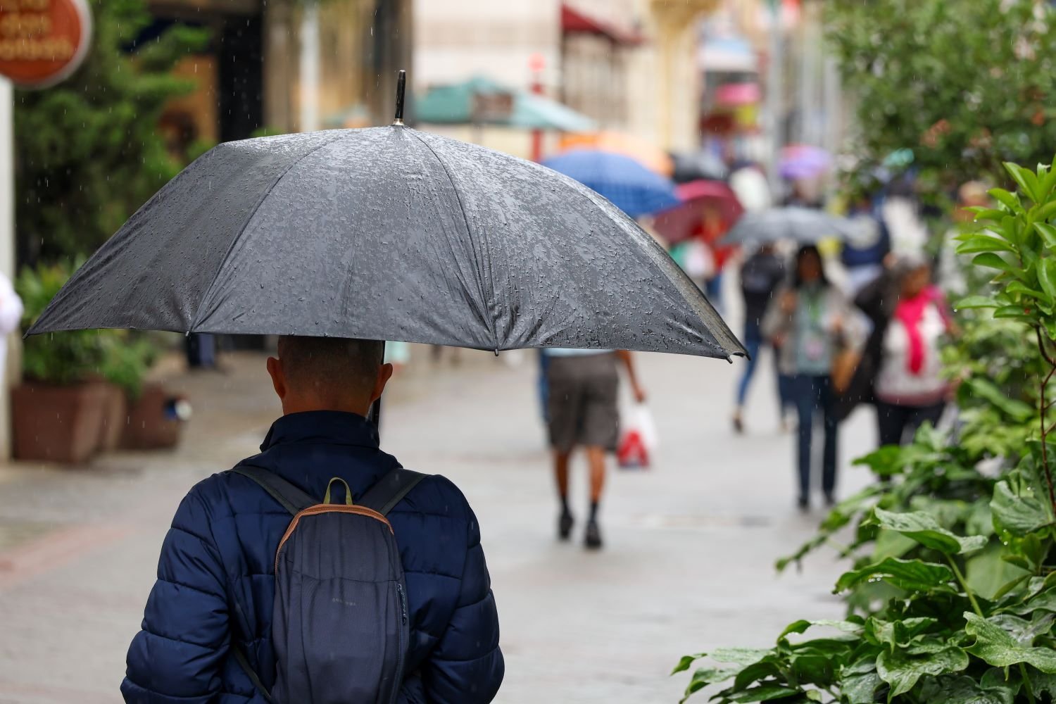 SC terá chuvas frequentes e mais calor de novembro a janeiro