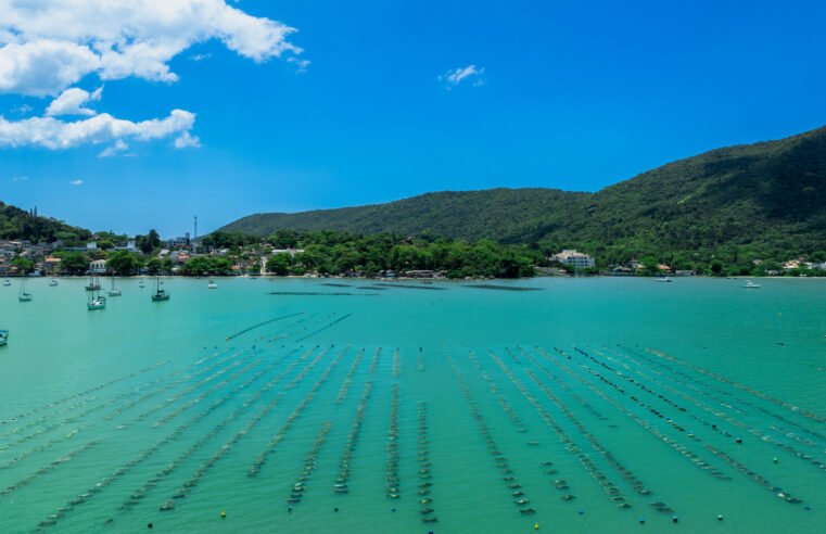 Santa Catarina promove 1º Workshop de Economia Azul para criar política estadual