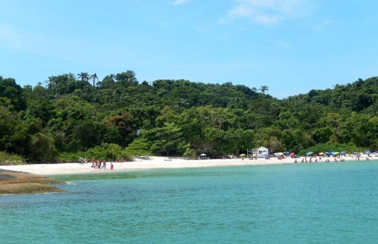 Ilha do Campeche (Florianópolis): como visitar, limite de visitantes e regras