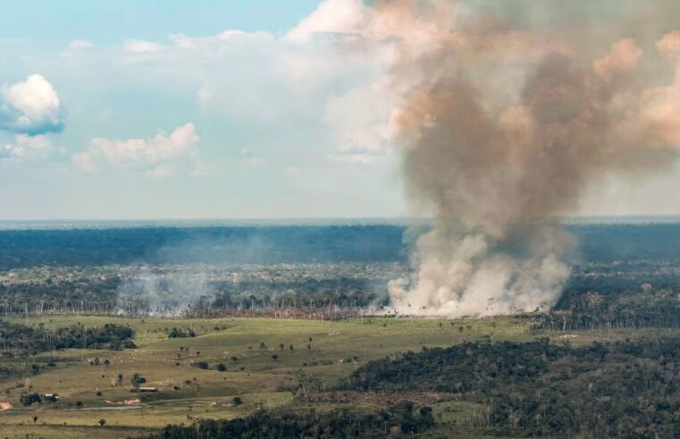 Incêndios no oeste do Pará deixam ar insalubre; governo reforça combate