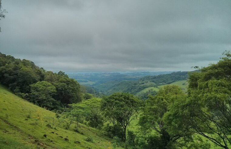 SC tem programas de apoio ao campo e à pesca para o El Niño