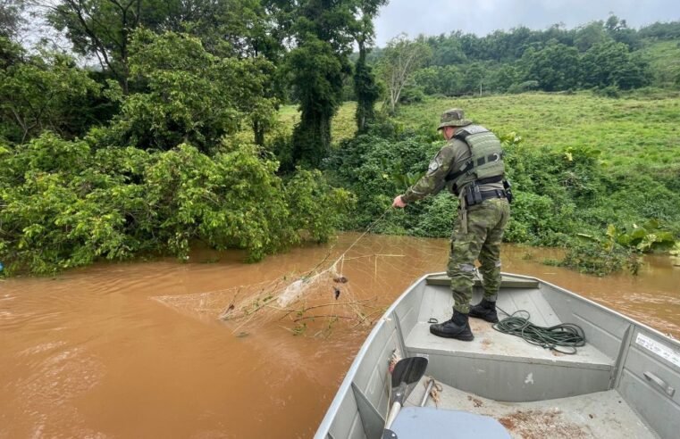 Piracema começa e pesca fica restrita nos rios do Oeste de SC até janeiro
