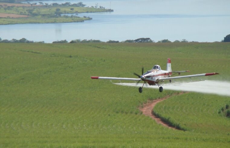 Brasil é o 2º maior importador de pesticidas proibidos na União Europeia