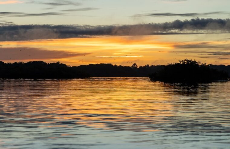 Radar Bioecon reúne 232 políticas para a bioeconomia amazônica