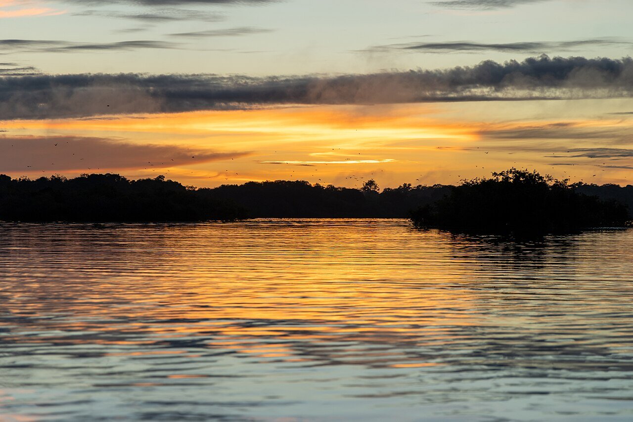 Radar Bioecon reúne 232 políticas para a bioeconomia amazônica