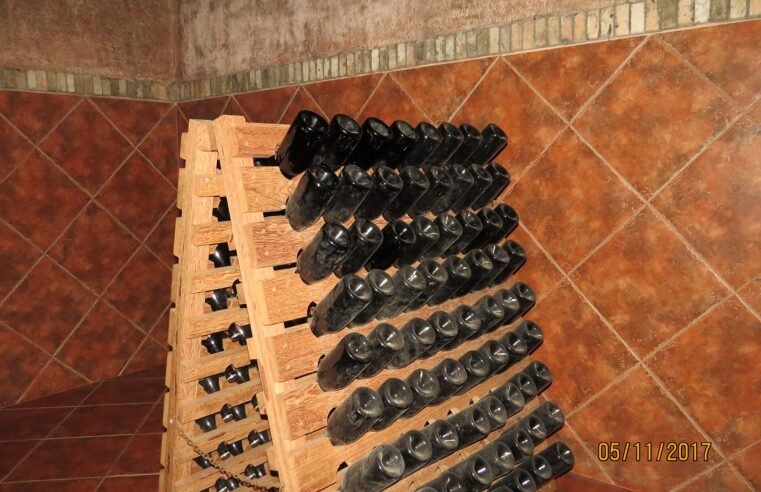 Vinhos de SC: seis rótulos catarinenses entre os melhores do Brasil