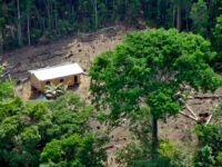 Vista aérea da floresta amazônica