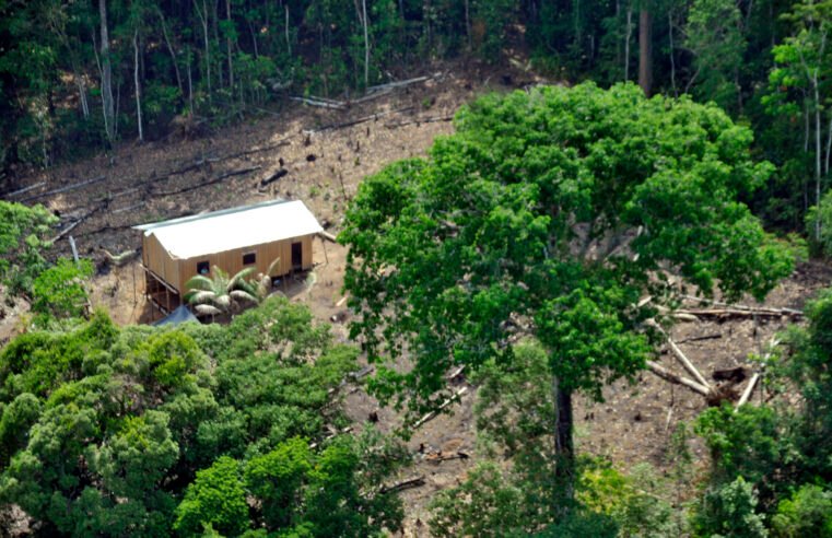 Holanda anuncia US$ 500 milhões para fundo de florestas criado pelo Brasil